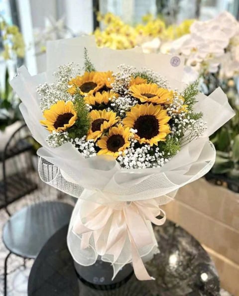 Tốt Nghiệp 8