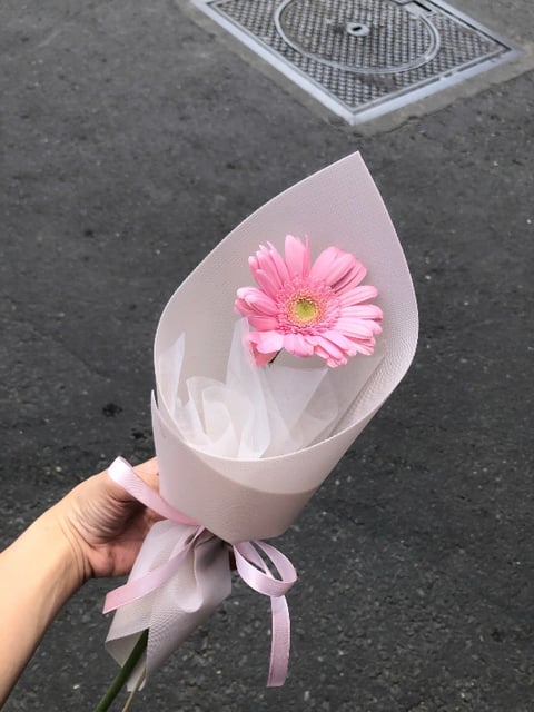 Đồng Tiền Nhí 1 Bông