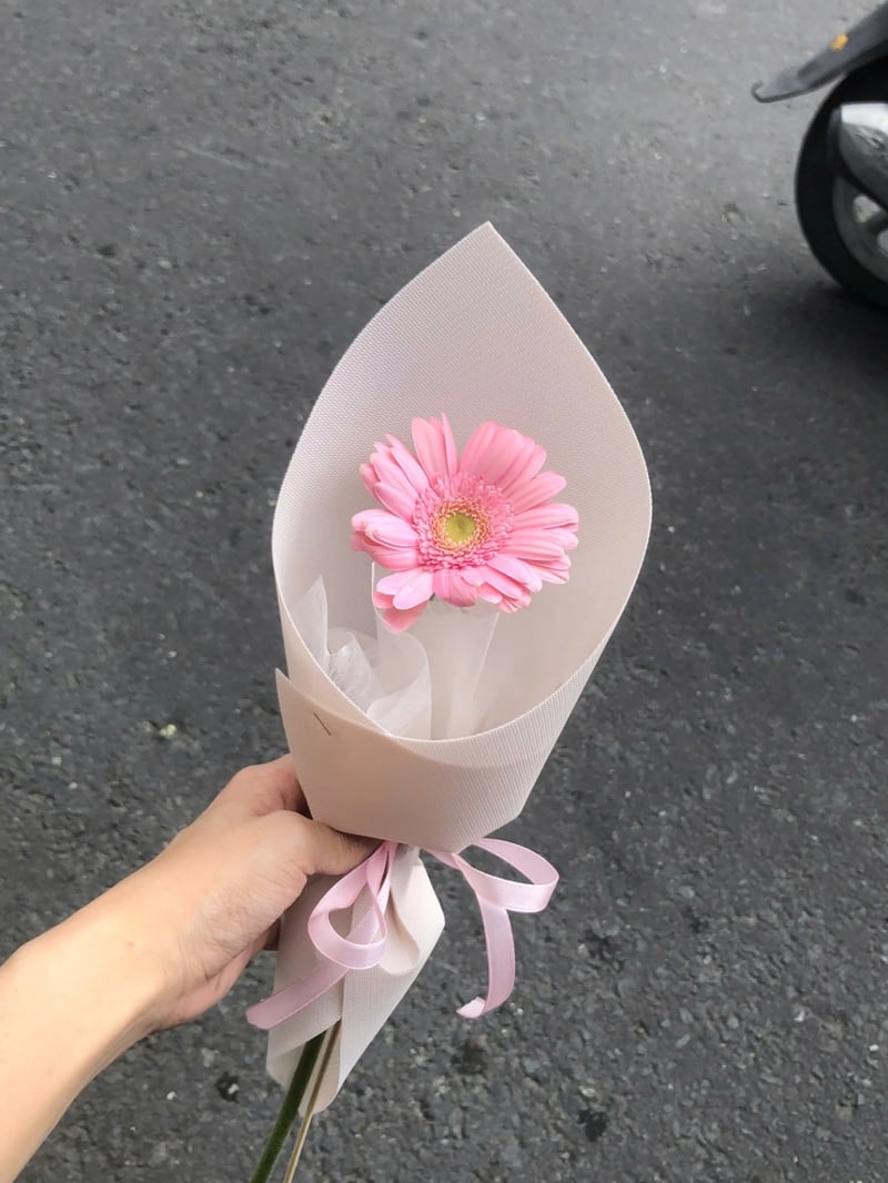 Đồng Tiền Nhí 1 Bông 3