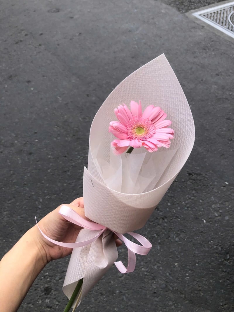 Đồng Tiền Nhí 1 Bông 2