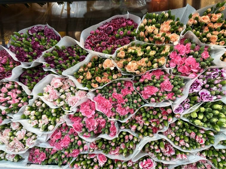 Hoa Phăng Chùm  – ảnh 1
